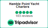 Trip Advisor New